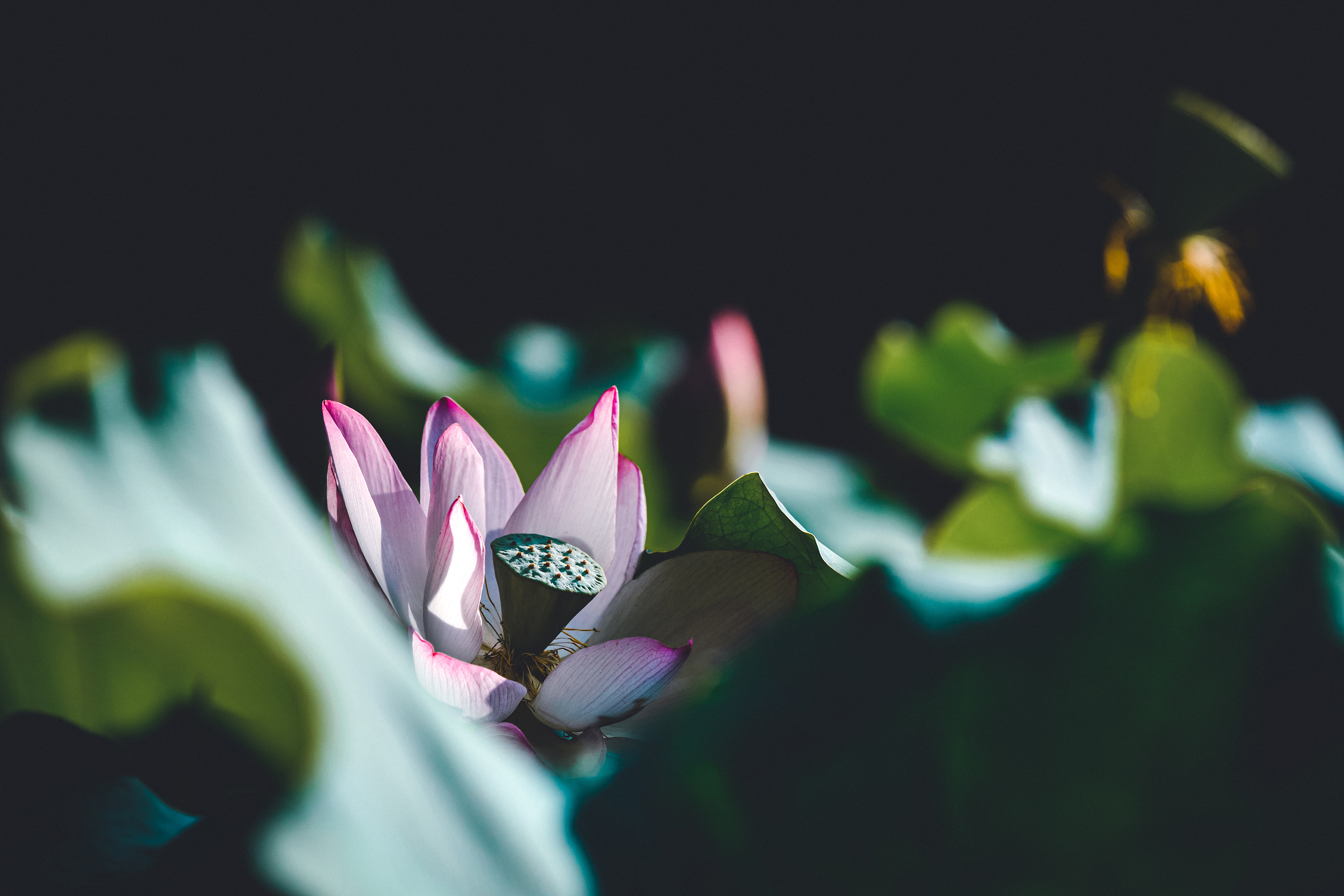 Corporate trustee services